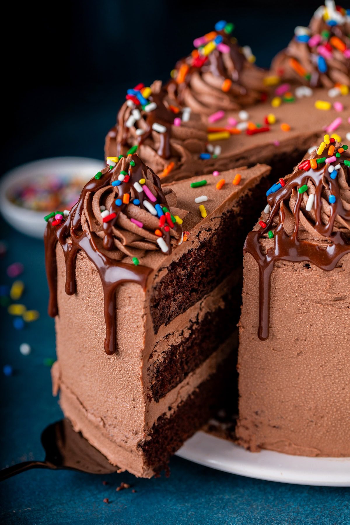 This is my BEST chocolate cake recipe! A moist and easy chocolate cake topped with chocolate buttercream frosting + drizzled chocolate sauce. A frosted chocolate layer cake is topped with piped chocolate frosting, rainbow sprinkles and chocolate sauce.