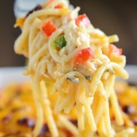 The Best Chicken Bacon Spaghetti - creamy chicken spaghetti with bacon and cheese!