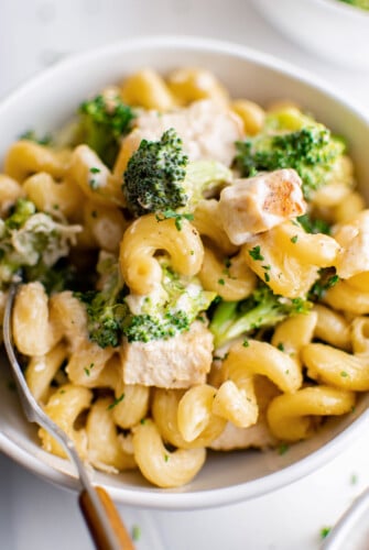 Bowl of chicken broccoli alfredo bake.