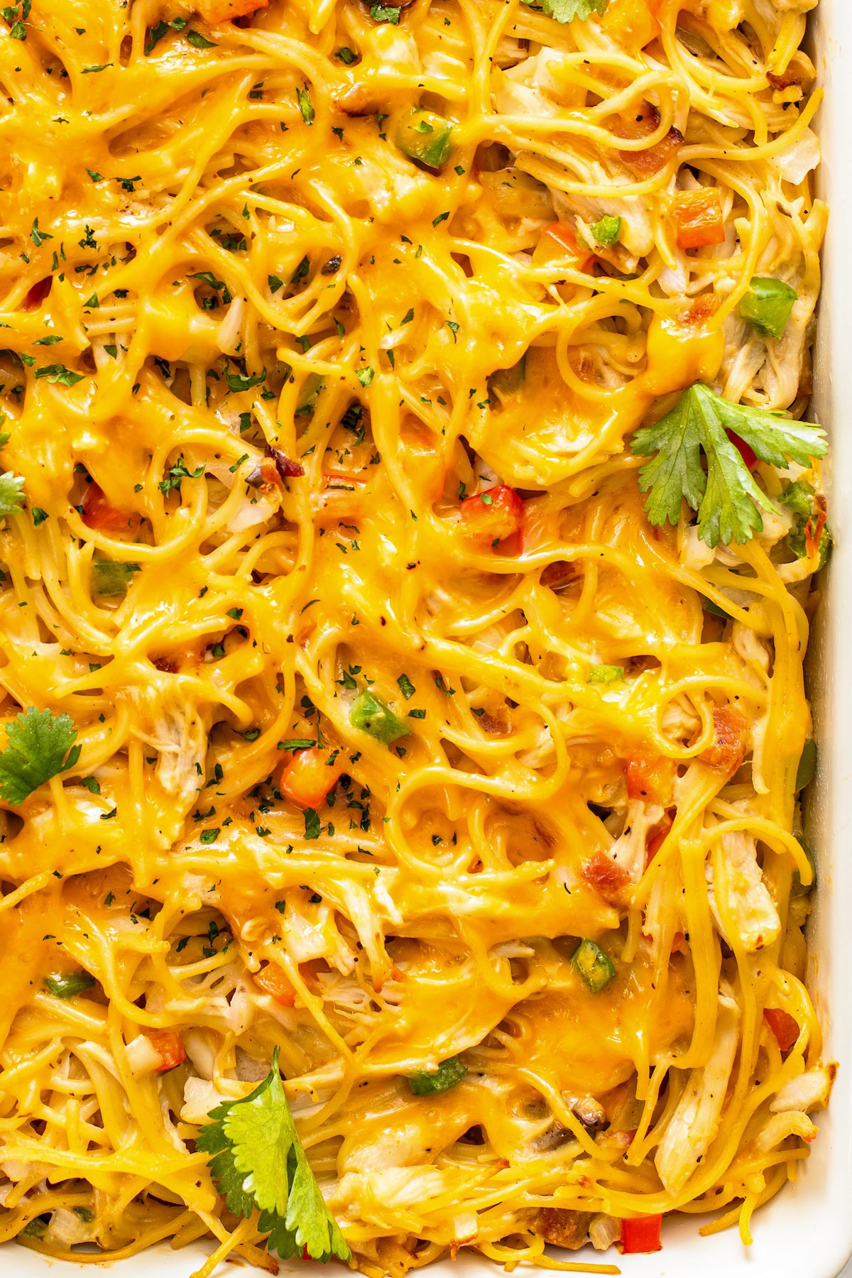 This Chicken Spaghetti recipe is quick, easy, and loaded with flavor. The secret? It's loaded with bacon and a delicious creamy cheese sauce! Spaghetti casserole is topped generously with melted cheese.