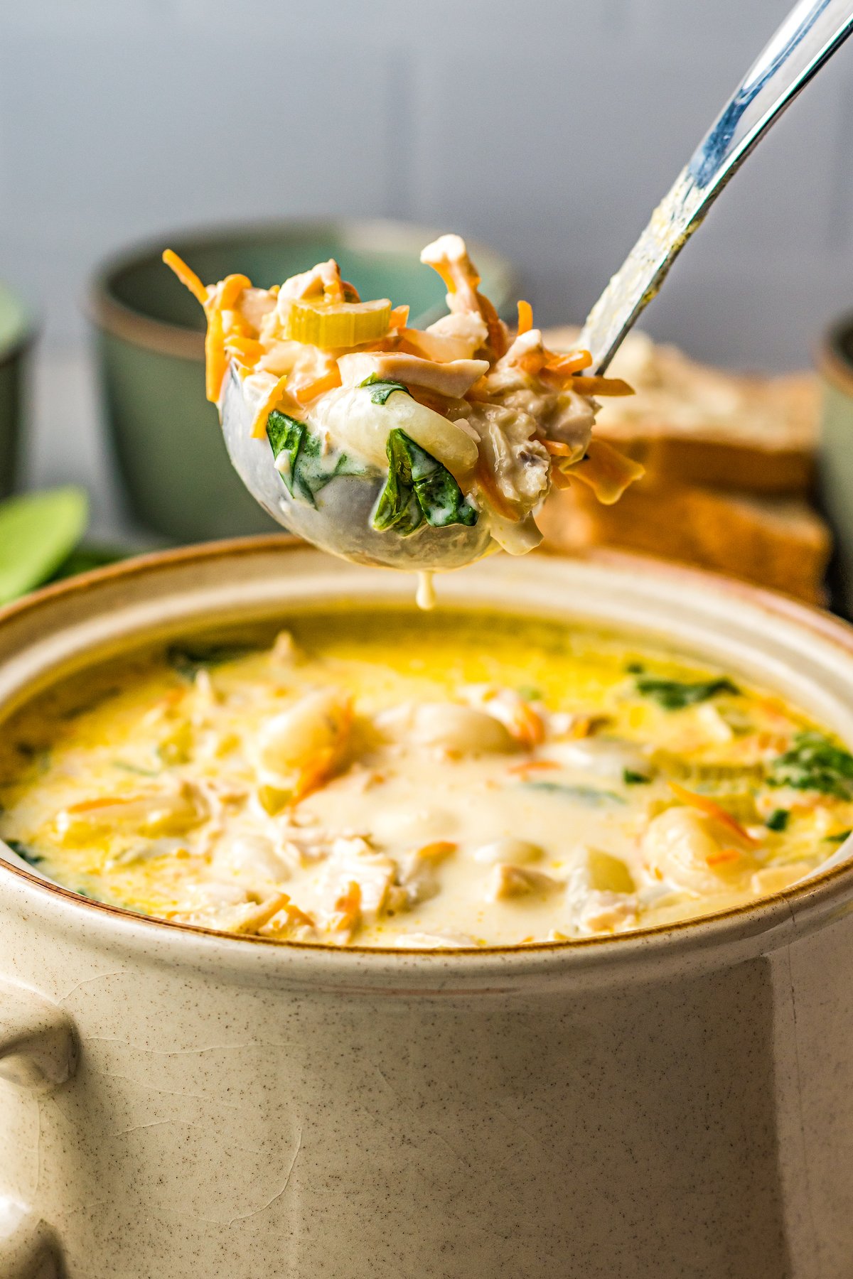 A ladle full of chicken gnocchi soup.