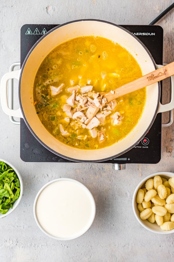 Chicken broth with chopped chicken mixed in.