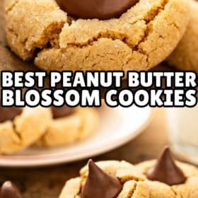 A close-up of peanut butter blossoms cookies, each with a large chocolate kiss in the center.