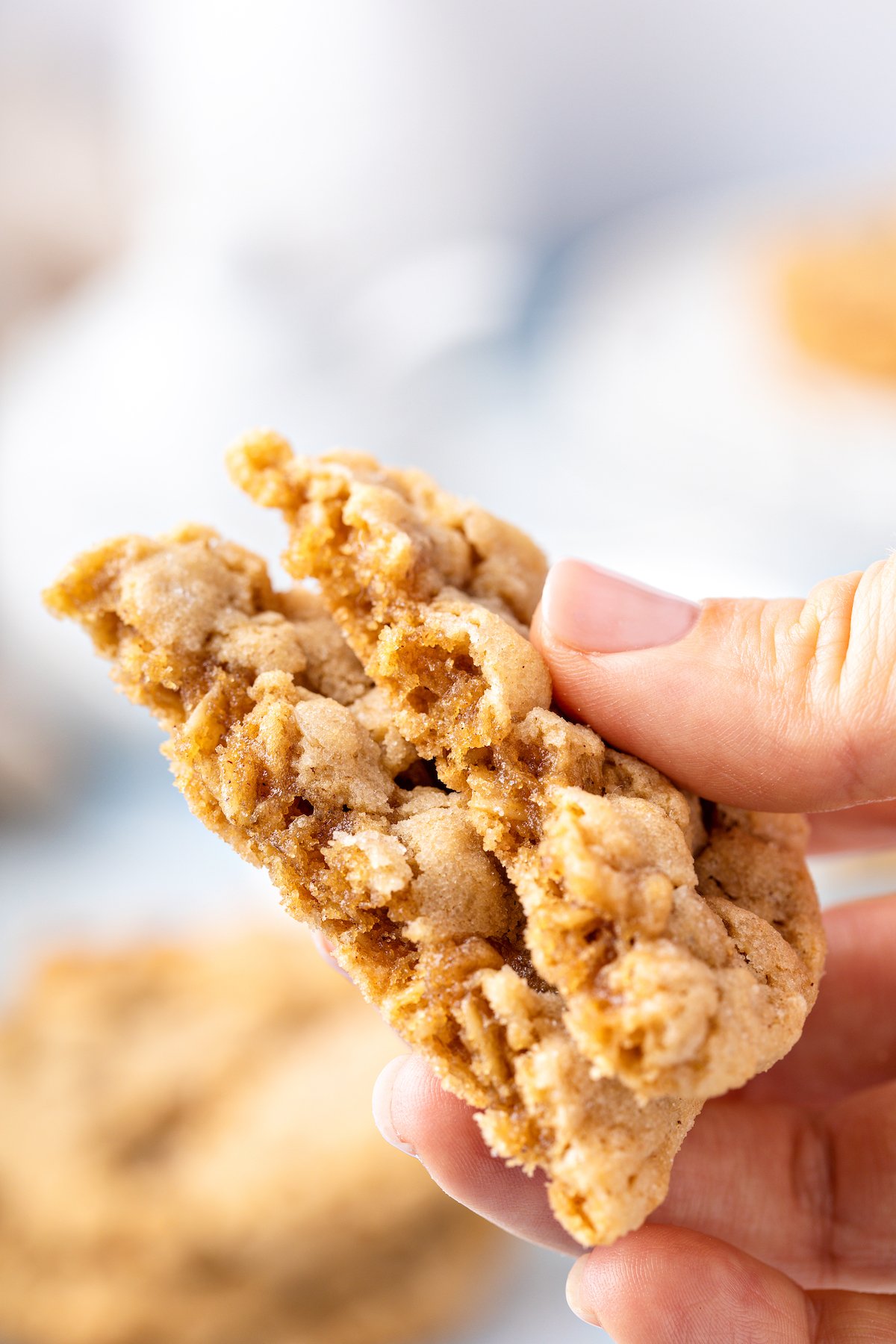 With a hint of cinnamon, crisp edges, and a chewy center, these wholesome Peanut Butter Oatmeal Cookies are sure to please! A hand holding two halves of a cookie, broken halves facing the camera to show texture.