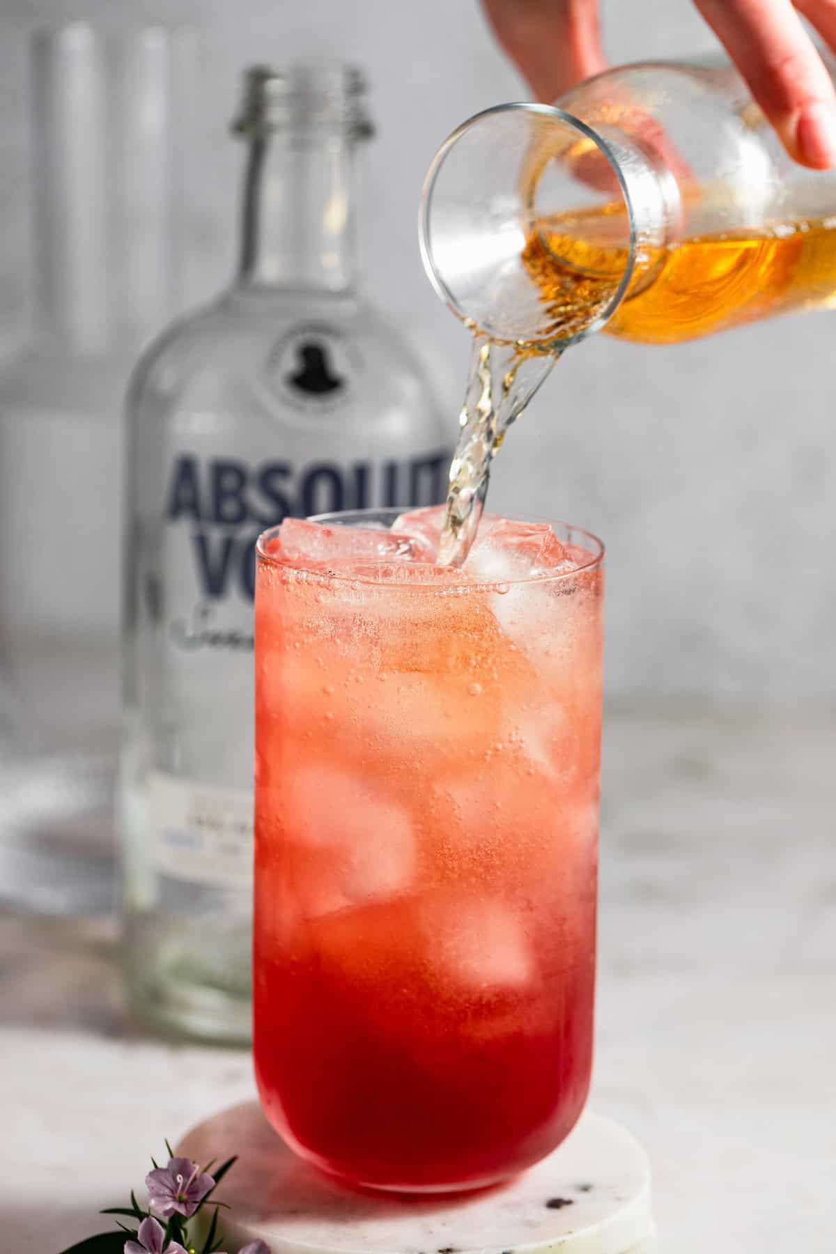 Fizzy, fruity, and refreshingly simple, this Transfusion Drink recipe is the best summer cocktail with vodka, grape juice, lime & ginger ale. A reddish-pink transfusion cocktail with ice in a glass with a small glass pitcher pouring ginger ale into the tall glass. A bottle of vodka is in the background, and a small purple flower sits on the table.